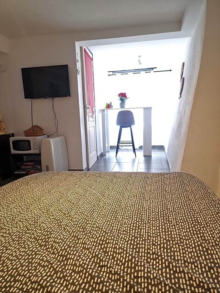 Le camélia de la mazarié