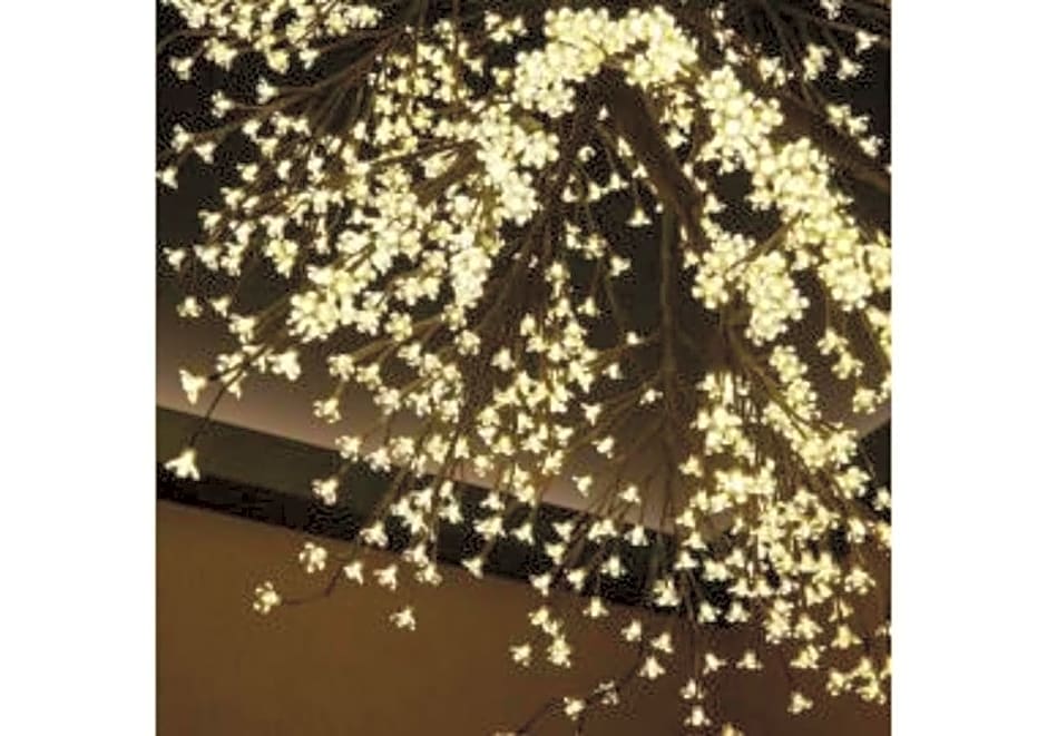 Sakura Sky Hotel - Vacation STAY 18445v