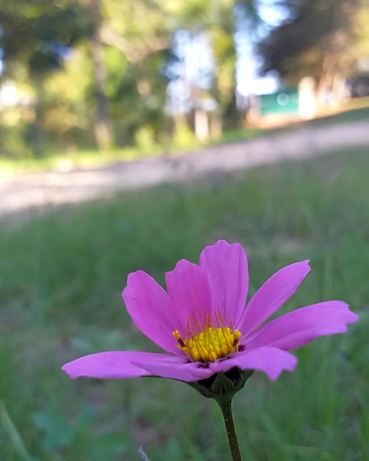 Pousada Villa Aurora