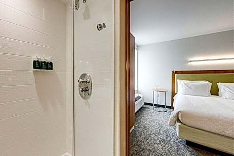 Suite, 1 King Bed with Sofa bed (Mobility/Hearing Accessible, Tub)