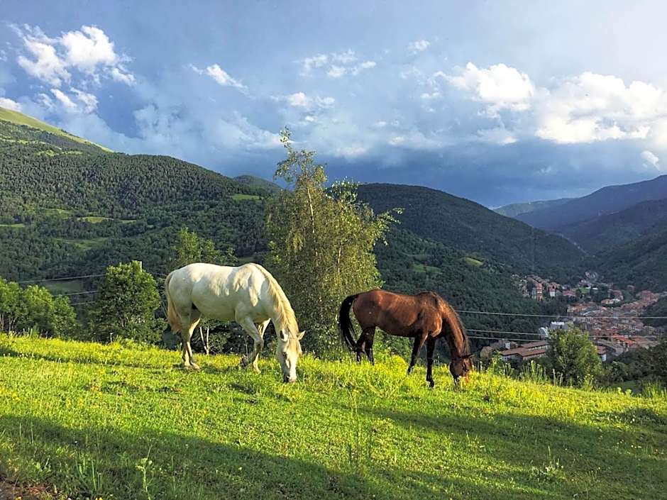 Serrat del Vent - Adults only