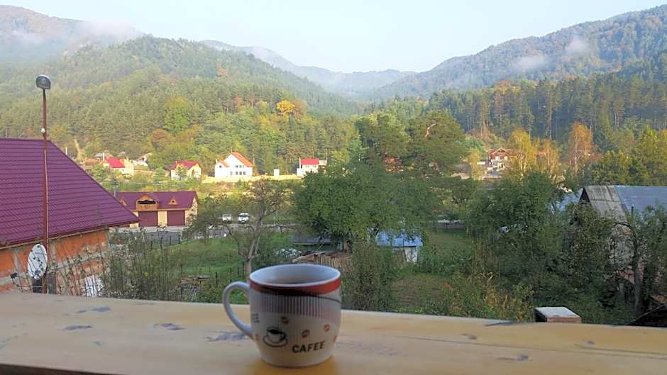 Casa de Vacanta Neagu