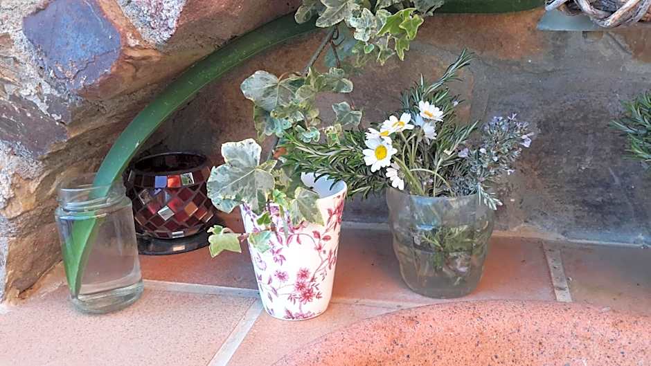 La Trucha del Arco Iris