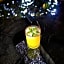 Casa Shiva Bacalar by Mij