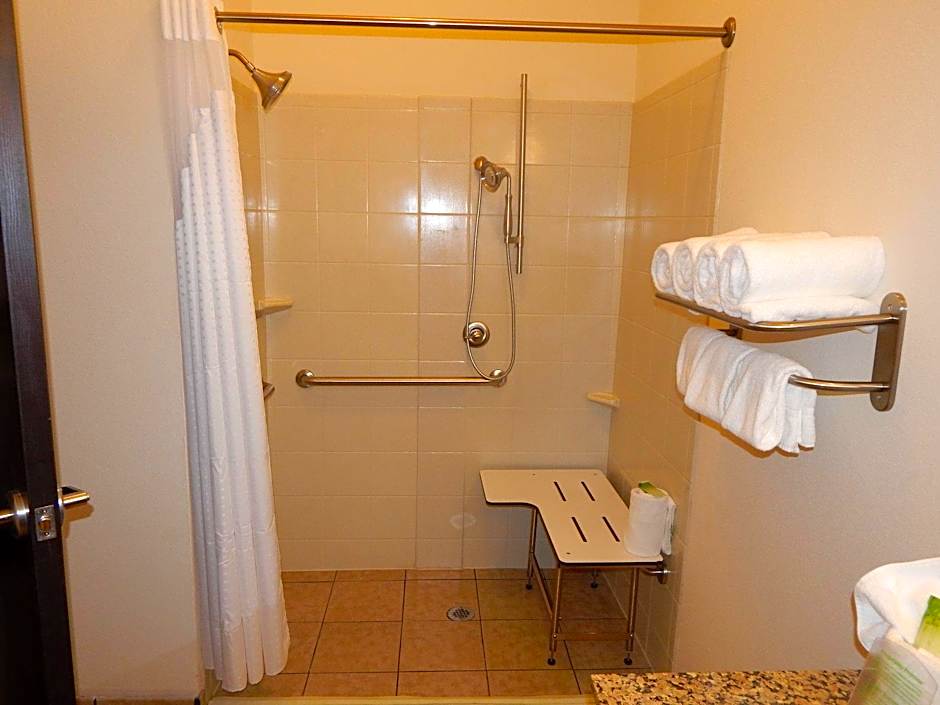 Photo 1 of 7 of Standard 1 King Bed, Hearing Accessible, Roll in Shower