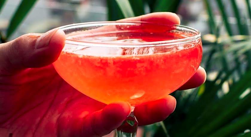 Hanoi Backpackers Hostels Rooftop Bar