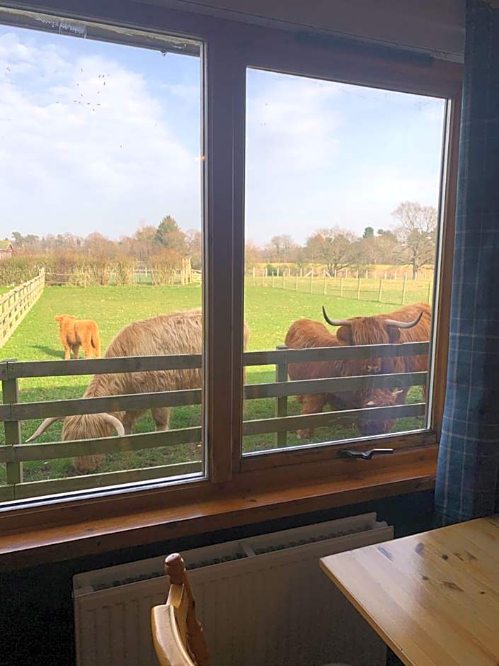 Orchard House Lodges by Ecohuman