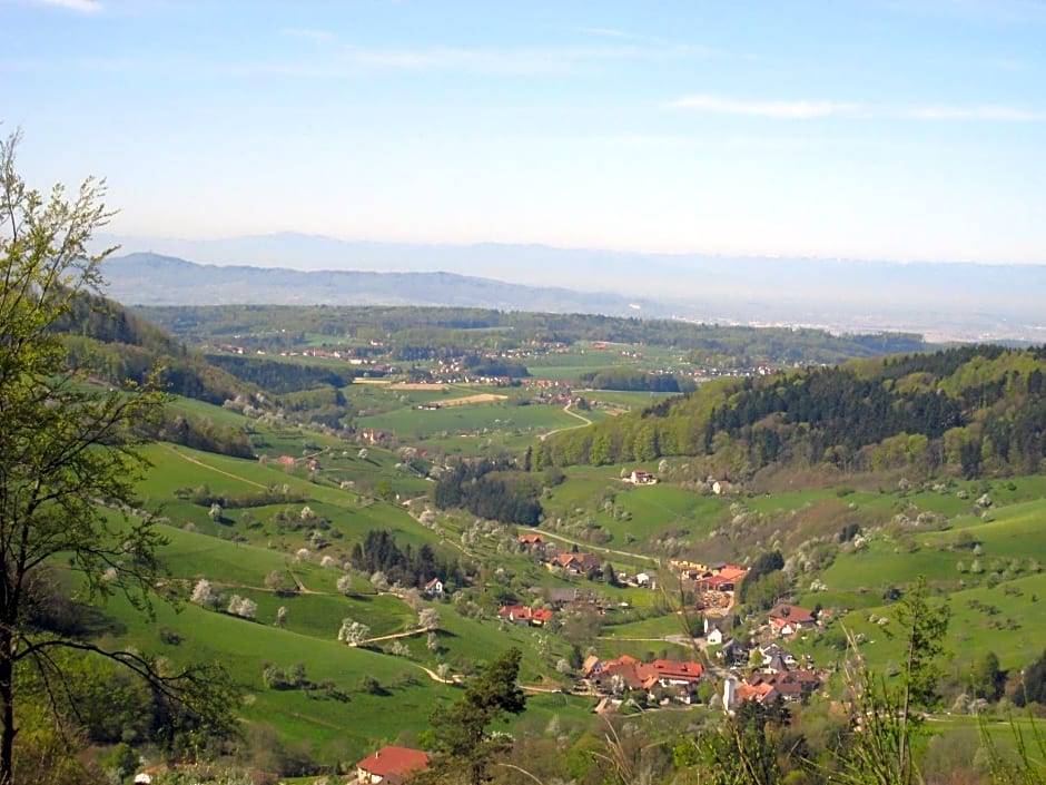 Wellnesshotel Ludinmühle