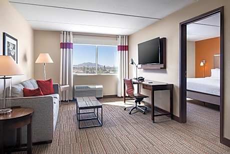 Suite, 1 Bedroom (1 King Bed and 1 Double Sofa Bed)