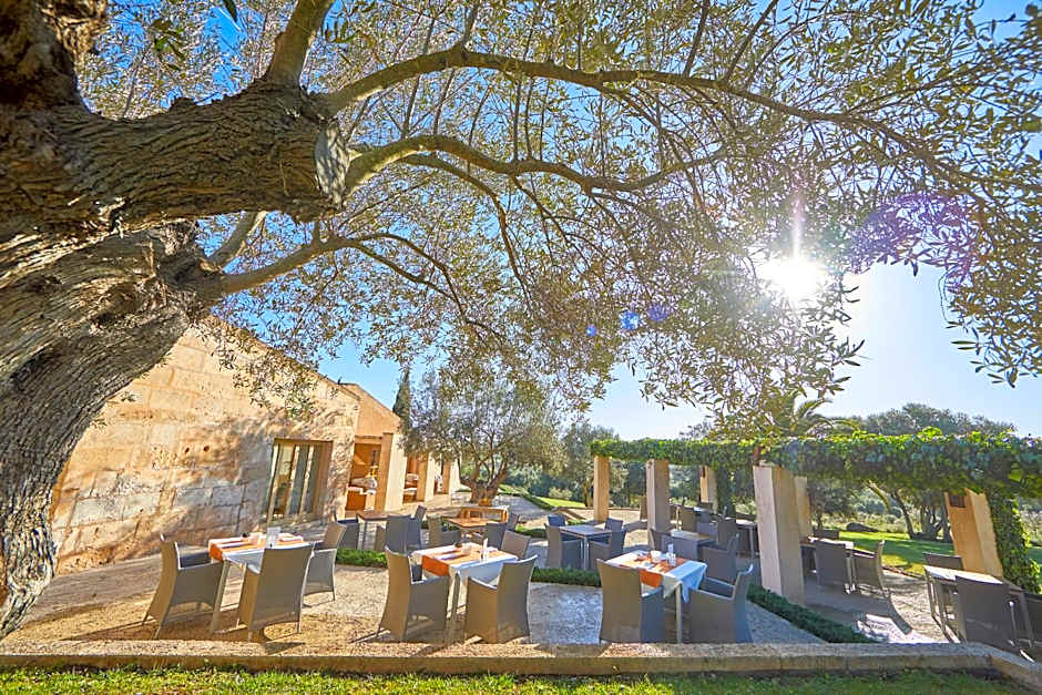 Son Penya Adults Only Petit Hotel & Spa