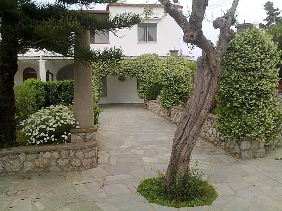 Photo 1 of 31 of Il Merlo