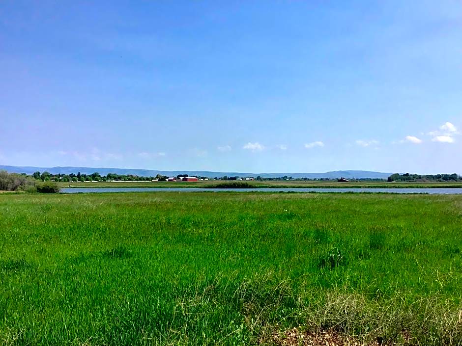 Comfort Inn Central University South