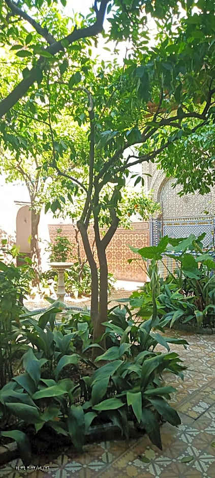 Riad Dar Zaida