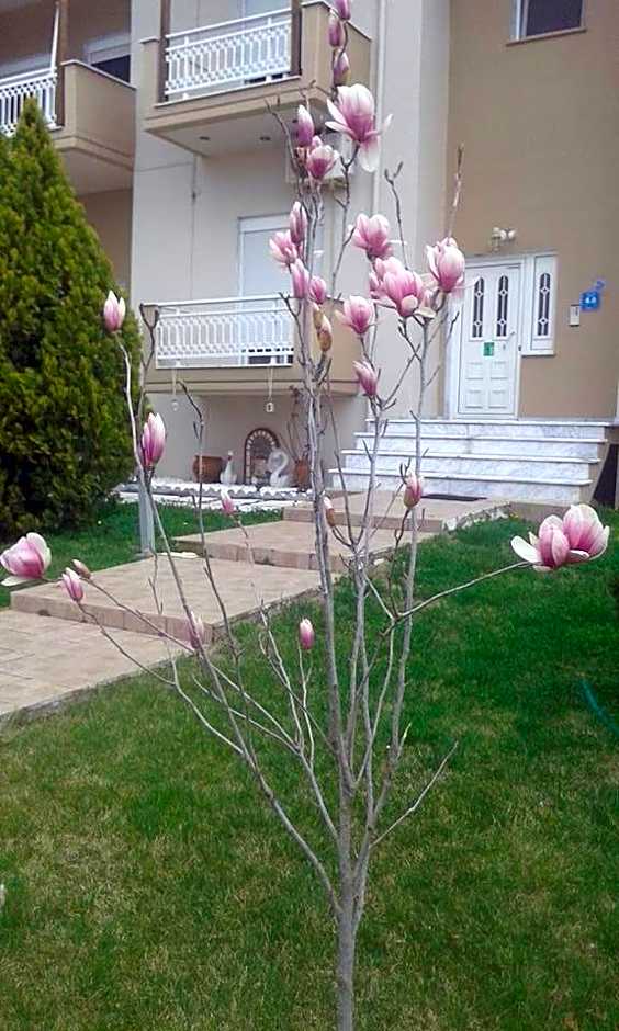 Hotel-Apartments La Strada