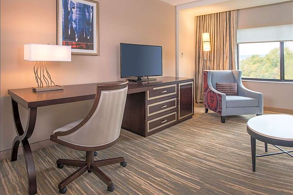 Photo 1 of 5 of 1 Bedroom 1 King Bed with Sofabed Suite
