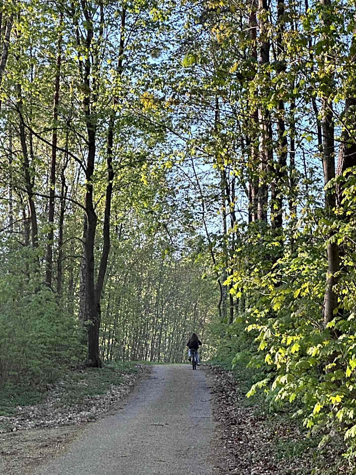 Domki nad Szelągiem