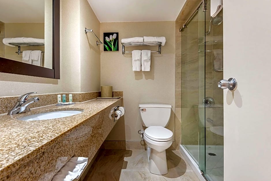 Quality Inn & Suites Brampton