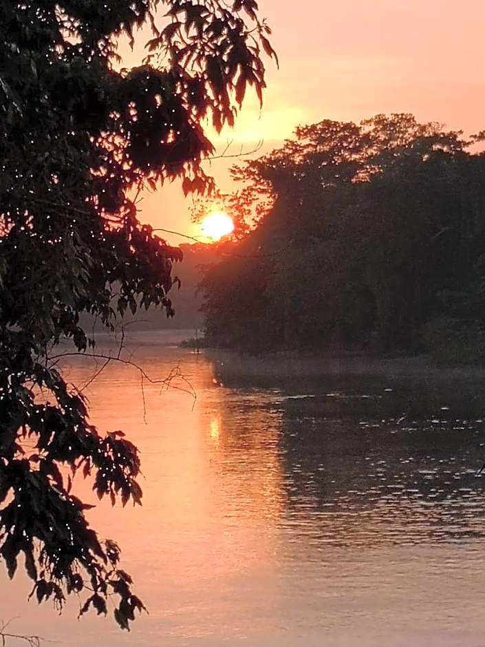 Seringal jungle Lodge