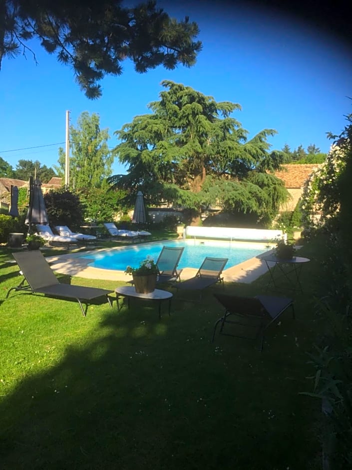 Les Prémices De La Forêt