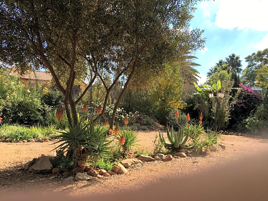 Aloe Guesthouse Klerksdorp