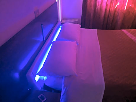 Hotel Houston Livorno - Struttura Esclusivamente Turistica - Not for Business or Workers