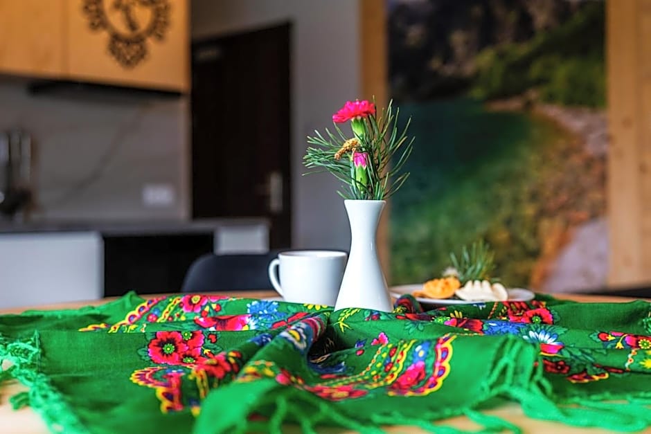 Aparthotel Rabiań-SKI 10metrów do wyciagu połączonego z całą Kotelnicą na miejscu wypoożyczalnia z serwisem