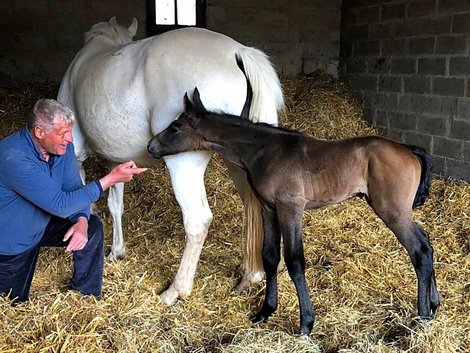 Ancien hôtel aux moines Pierrefitte St Lo