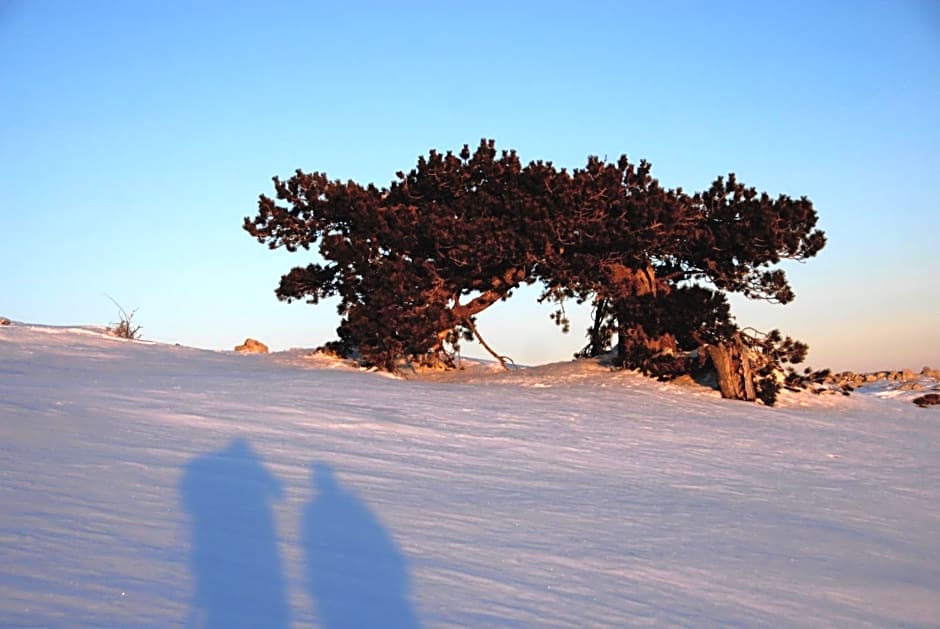 Tana Libera Tutti 1 Nature, Yourself, Love