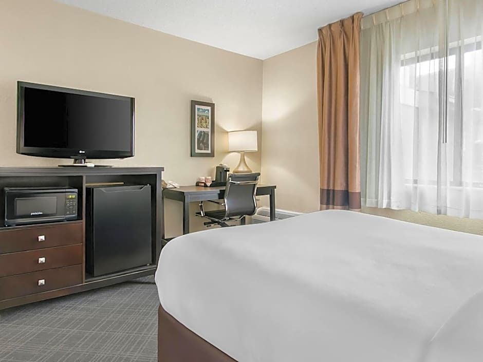 Comfort Inn Detroit Downtown