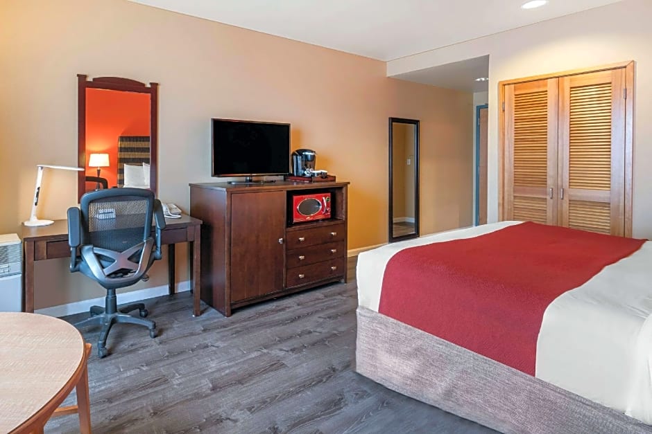 Photo 1 of 1 of 1 Queen Bed