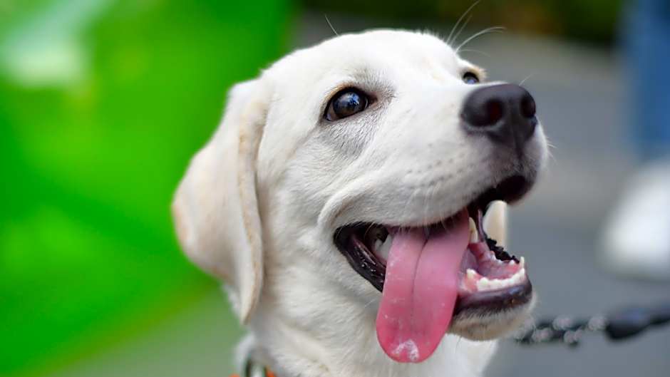 Kimpton Bamboo Grove Suzhou