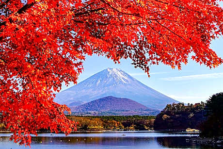 Fuji Gran Villa - TOKI -