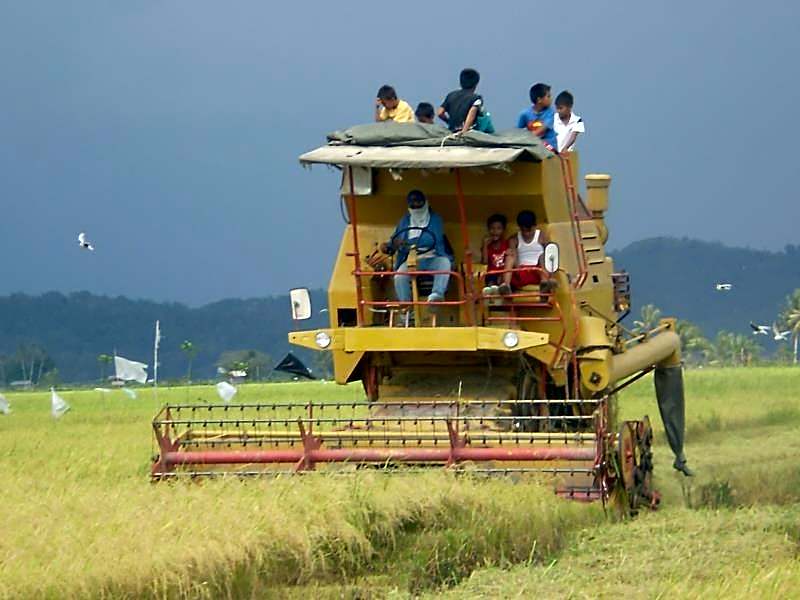 Taun Gusi Village Homestay