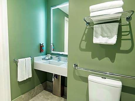 DELUXE ROOM with 1 king-size double bed