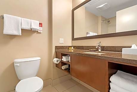 2 Queen Mobility Accessible Roll In Shower Microwave And Refrigerator Wi-Fi NSMK Full Breakfast