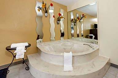 1 King Bed Deluxe Suite Non-Smoking