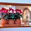 Franconia City Hotel