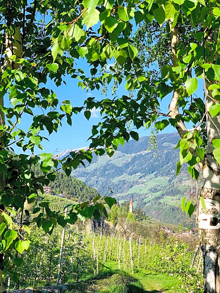 Tannerhof Bed & Breakfast