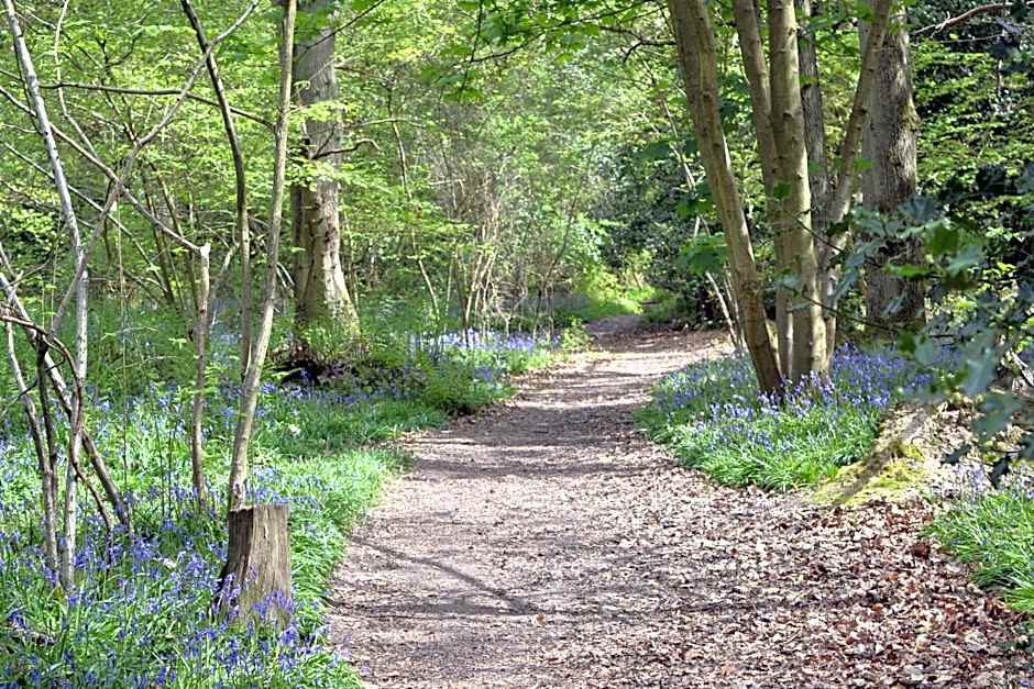 The Kingsley at Eversley
