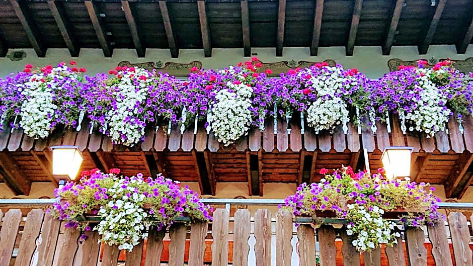ZUR TRAUBE Schwarzwaldhotel & Restaurant am Titisee