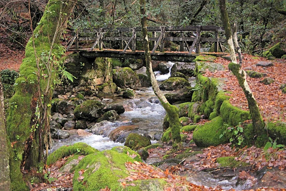 Hotel Carvalho Araujo