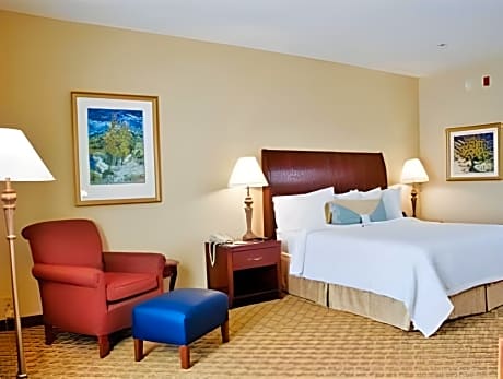 1 King Bed Deluxe
