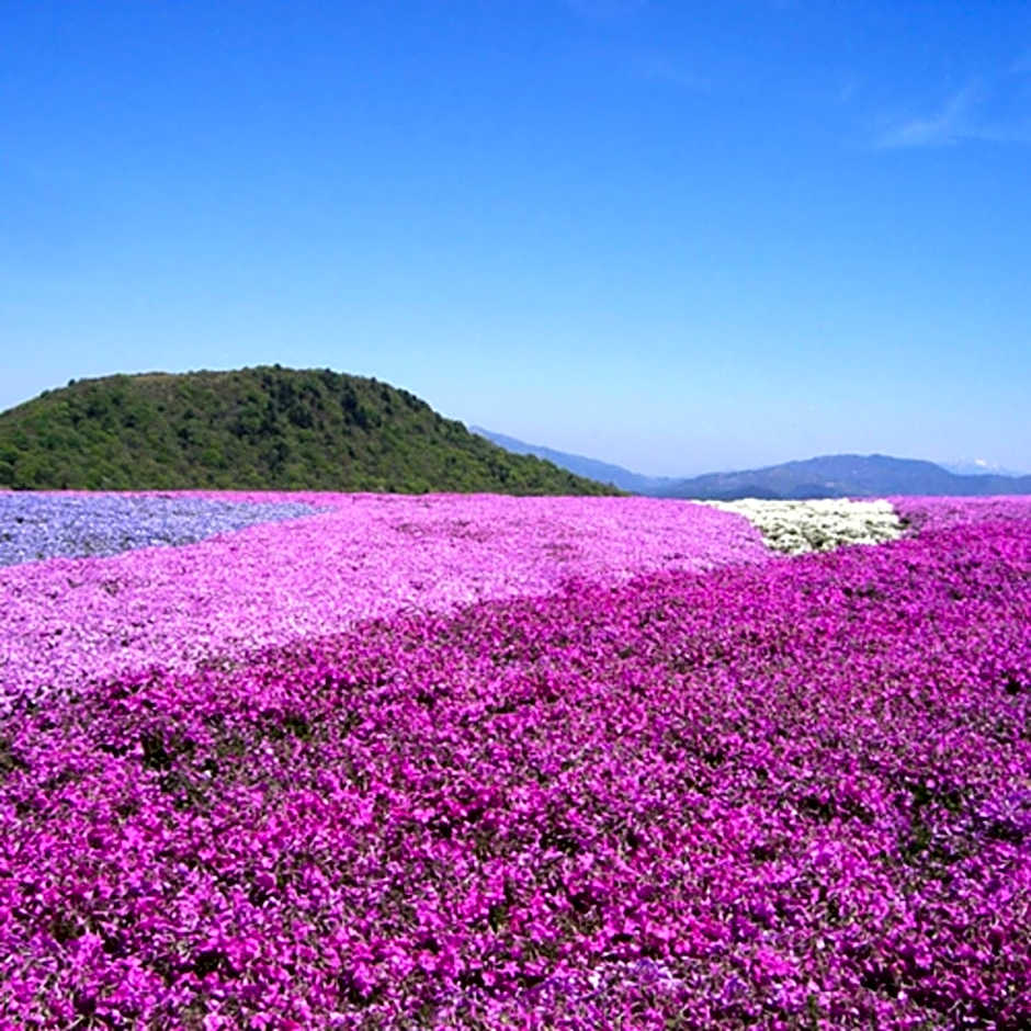 Kyukamura Chausuyama-Kogen