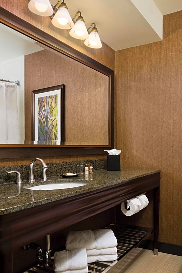 Sheraton Springfield Monarch Place Hotel