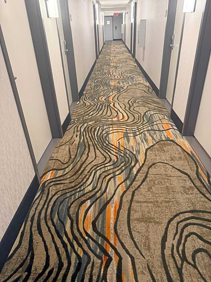 Fairfield by Marriott Inn & Suites Houston Downtown