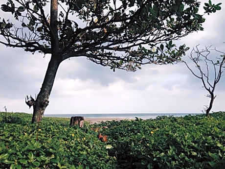 Pannzian Beach Resort
