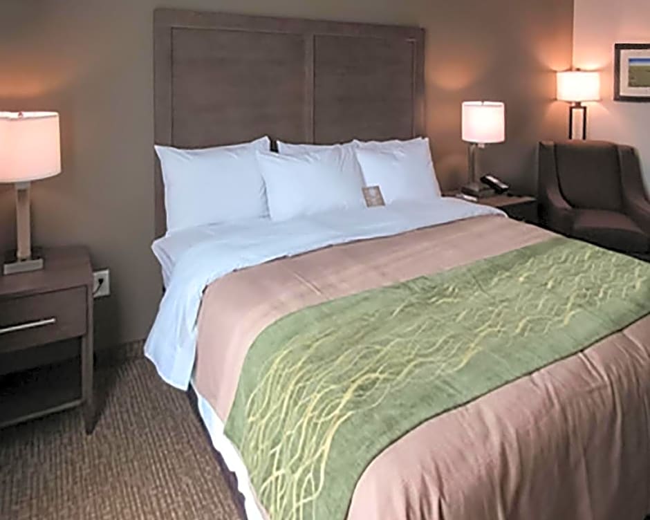 Comfort Inn & Suites Snyder