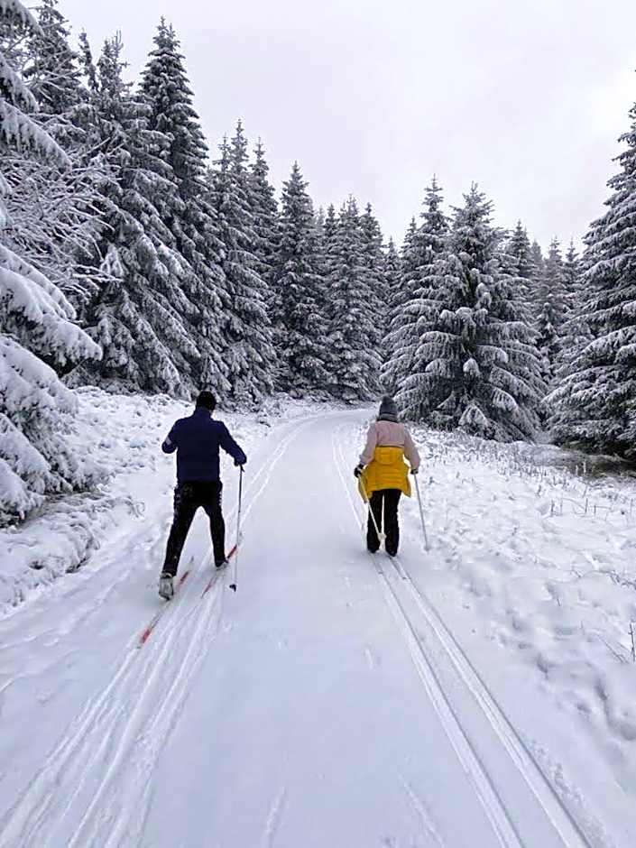 Comfort-Hotel garni Schierker Waldperle - inklusive Wellness