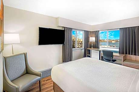 Standard Queen Room with Harbor View