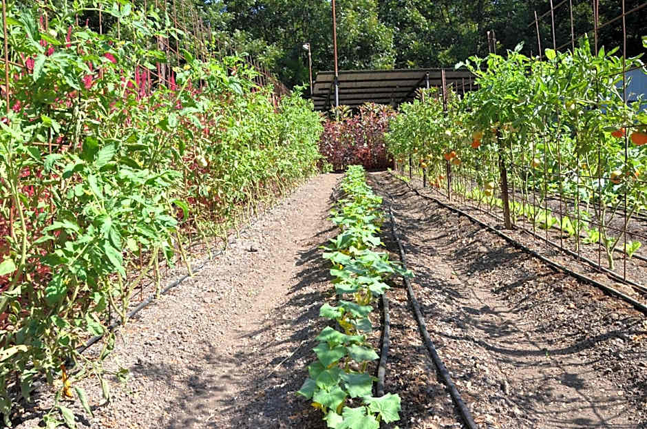 Vitrage Holiday Village and Spa